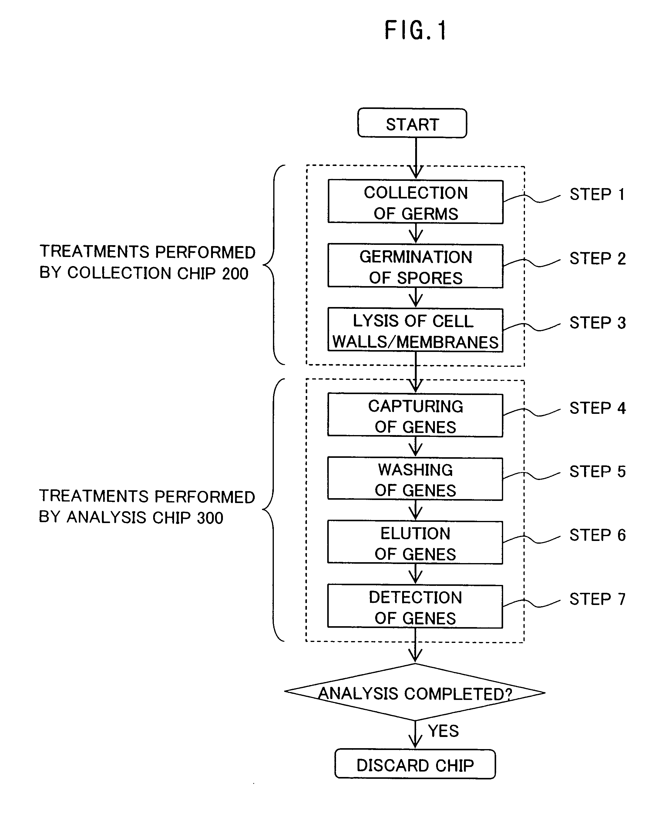 Bio-analysis chip, bio-analysis system and bio-analysis method