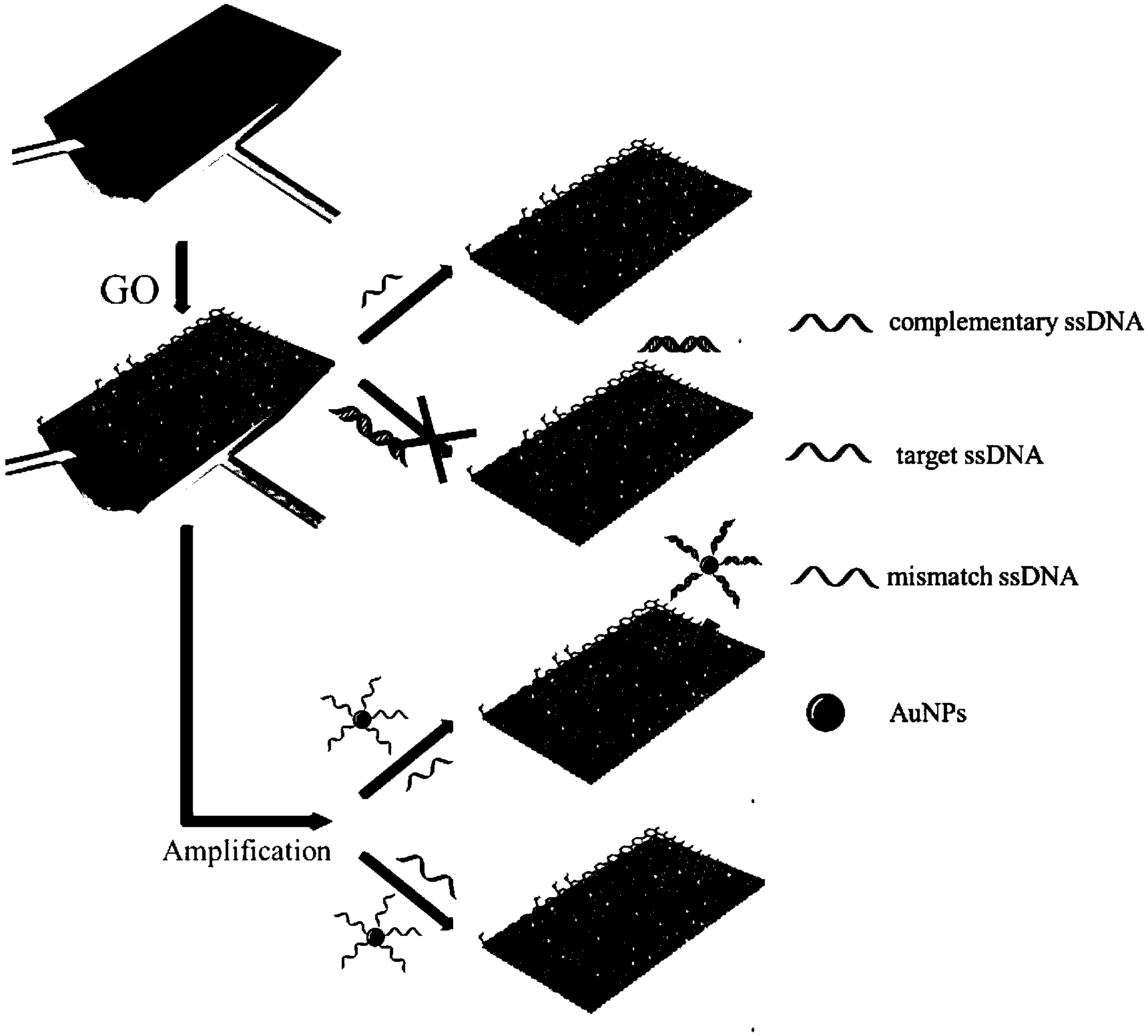 Preparation method for surface plasmon resonance DNA sensor based on graphene oxide