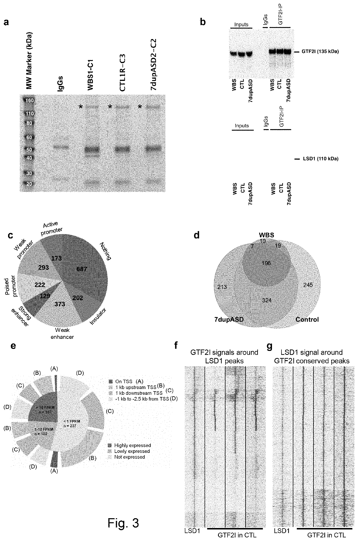 Reprogramming-based models of neurodevelopmental disorders and uses thereof