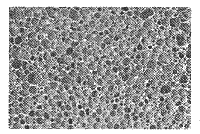 Preparation method for alumina-based foam material