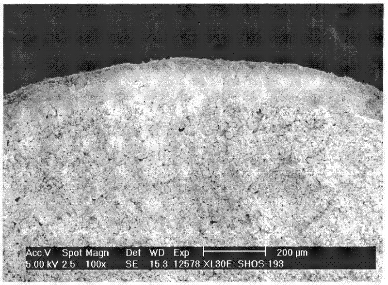 Wear-resistant and thermally stable alumina coating carrier