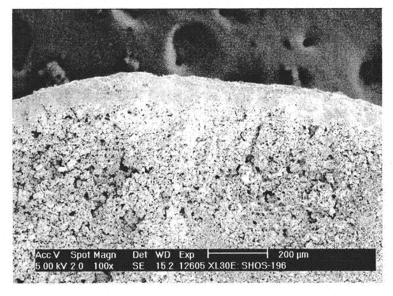 Wear-resistant and thermally stable alumina coating carrier