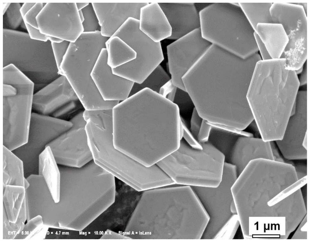 A p-type delafossite structure cusco  <sub>2</sub> Crystal material and its preparation method and use