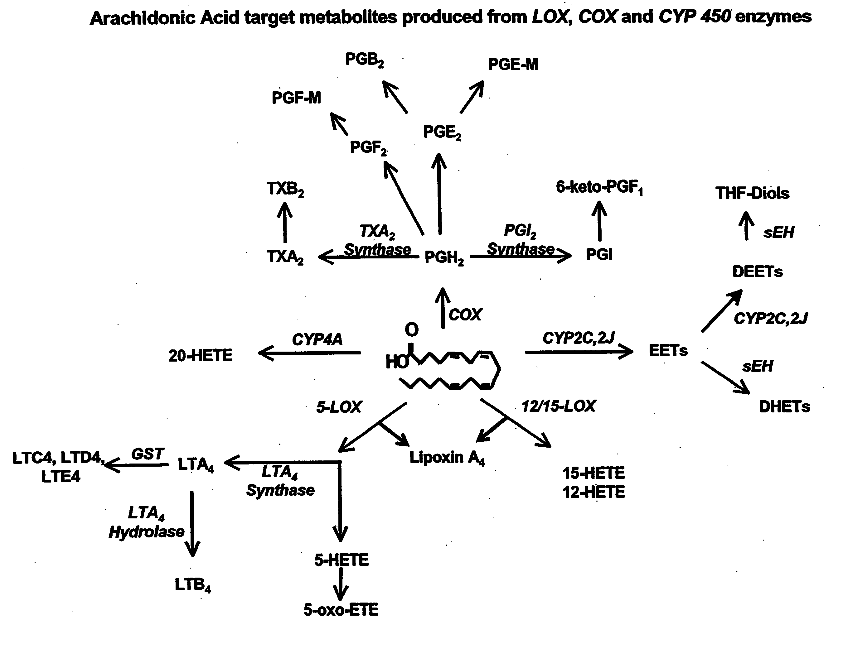 Use of inhibitors of soluble epoxide hydrolase to synergize activity of COX and 5-LOX inhibitors