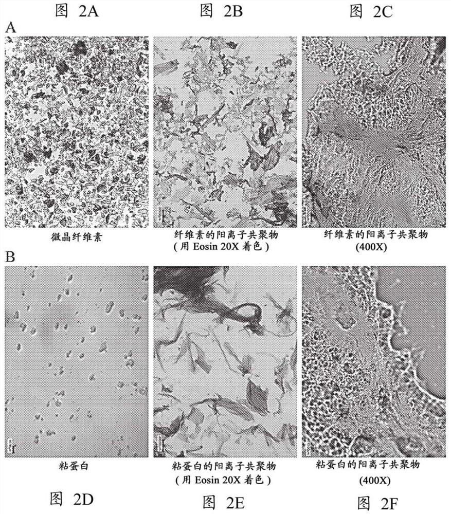 Microcarriers, matrices and scaffolds for culturing mammalian cells and methods for their manufacture