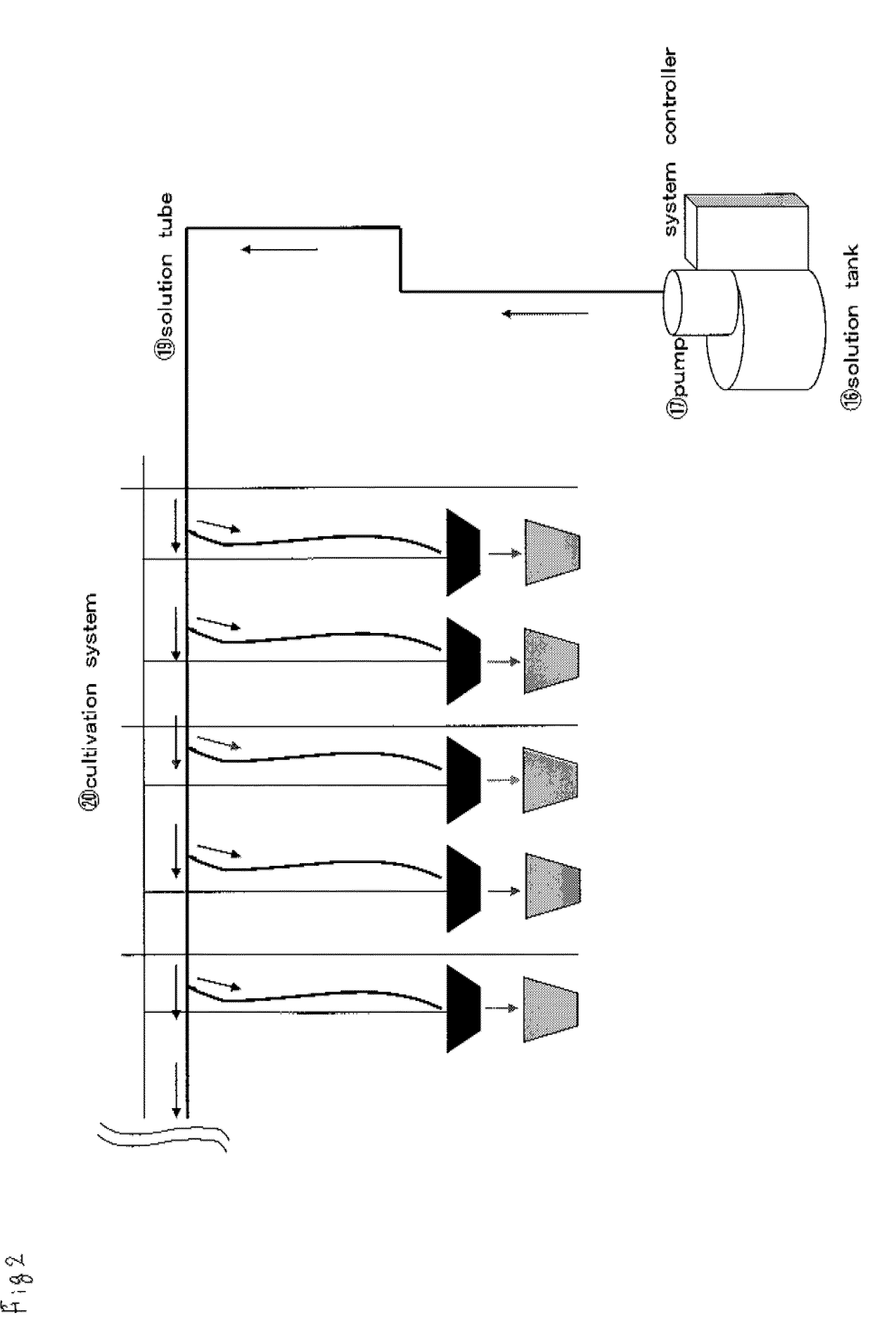 Variable and efficient space utilization type cultivation method