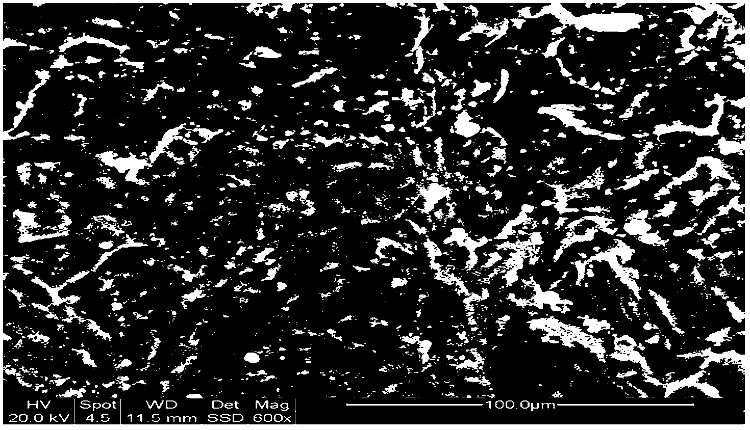 Porous light-weight carbon-based biological carrier and preparation method thereof