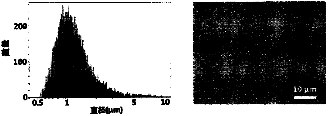 Preparation of medicine-carrying nano particles transmitting blood brain barrier and application of nano particles in cooperation with focused ultrasonic targeted micro-bubble damage technology