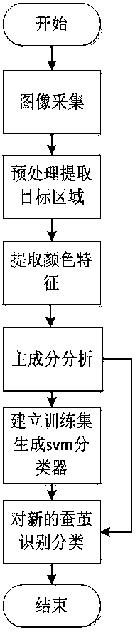 A silkworm cocoon classification method based on color features and a support vector machine