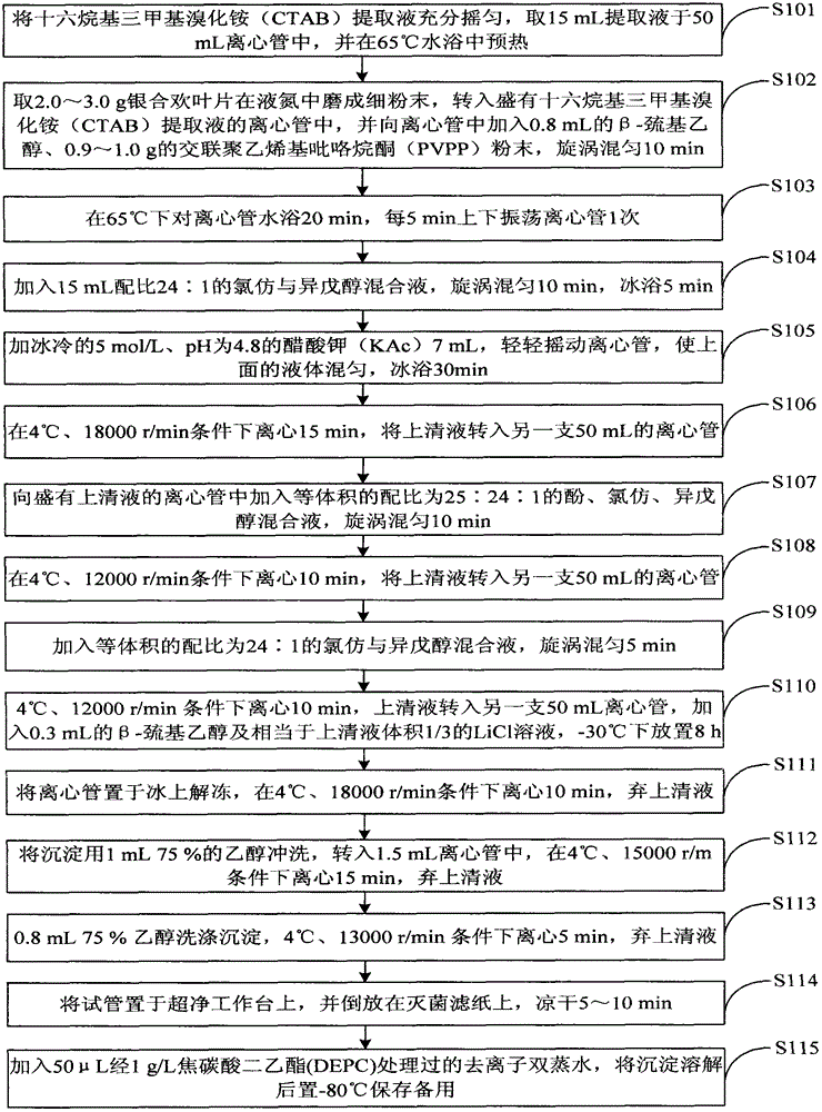 Method for extracting total RNA from leucaena leucocephala leaf tissue