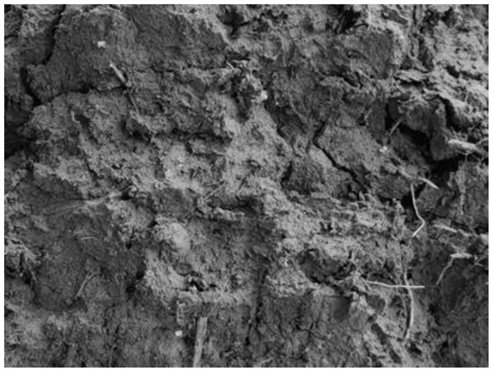 Soil image brightness controllable enhancement method based on double Gaussian fitting