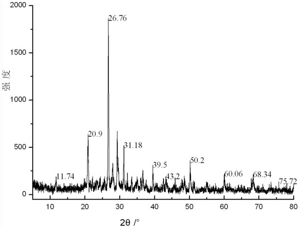 Flaked and powdered mural reinforcing protective agent and preparation and reinforcing method thereof