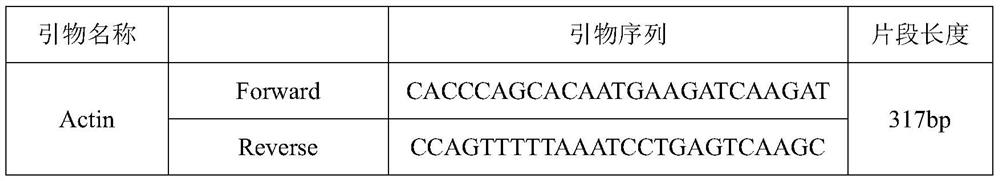 Polysaccharide composition with skin barrier repairing function and application thereof