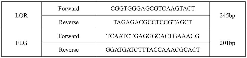 Polysaccharide composition with skin barrier repairing function and application thereof