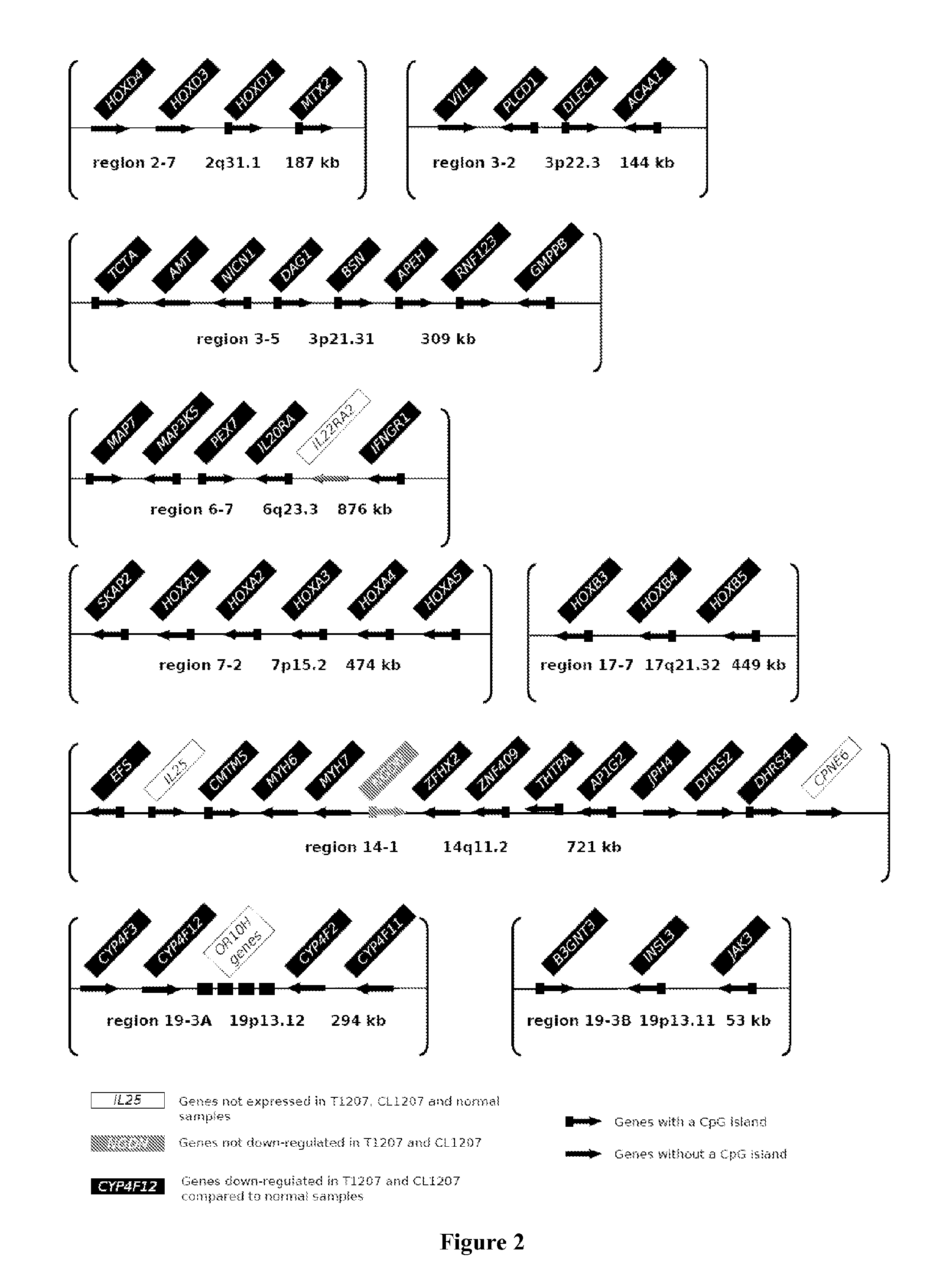 Method for predicting the sensitivity of a tumor to an epigenetic treatment