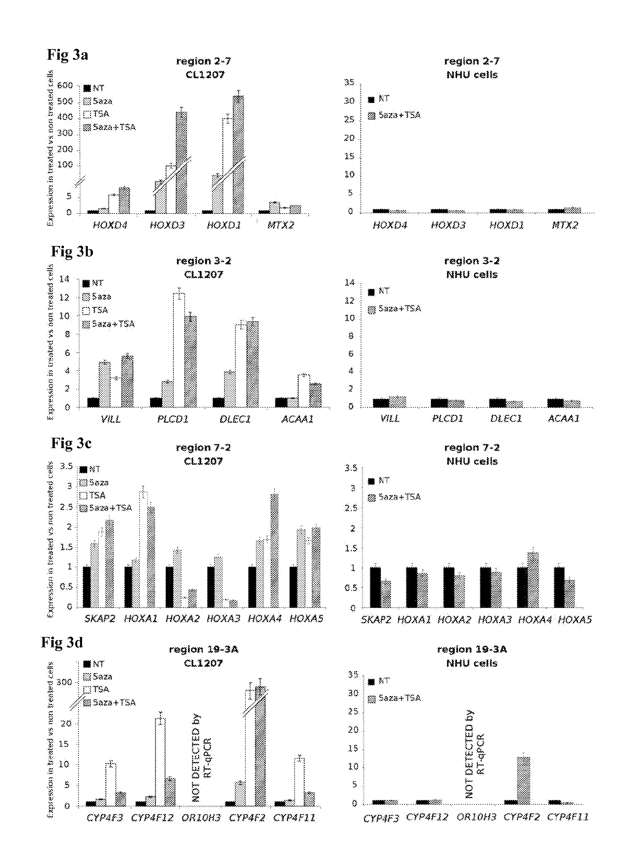 Method for predicting the sensitivity of a tumor to an epigenetic treatment