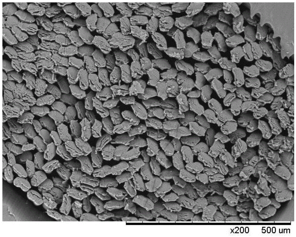 Method for preparing curcumin-loaded polyacrylonitrile fiber by dope dyeing method