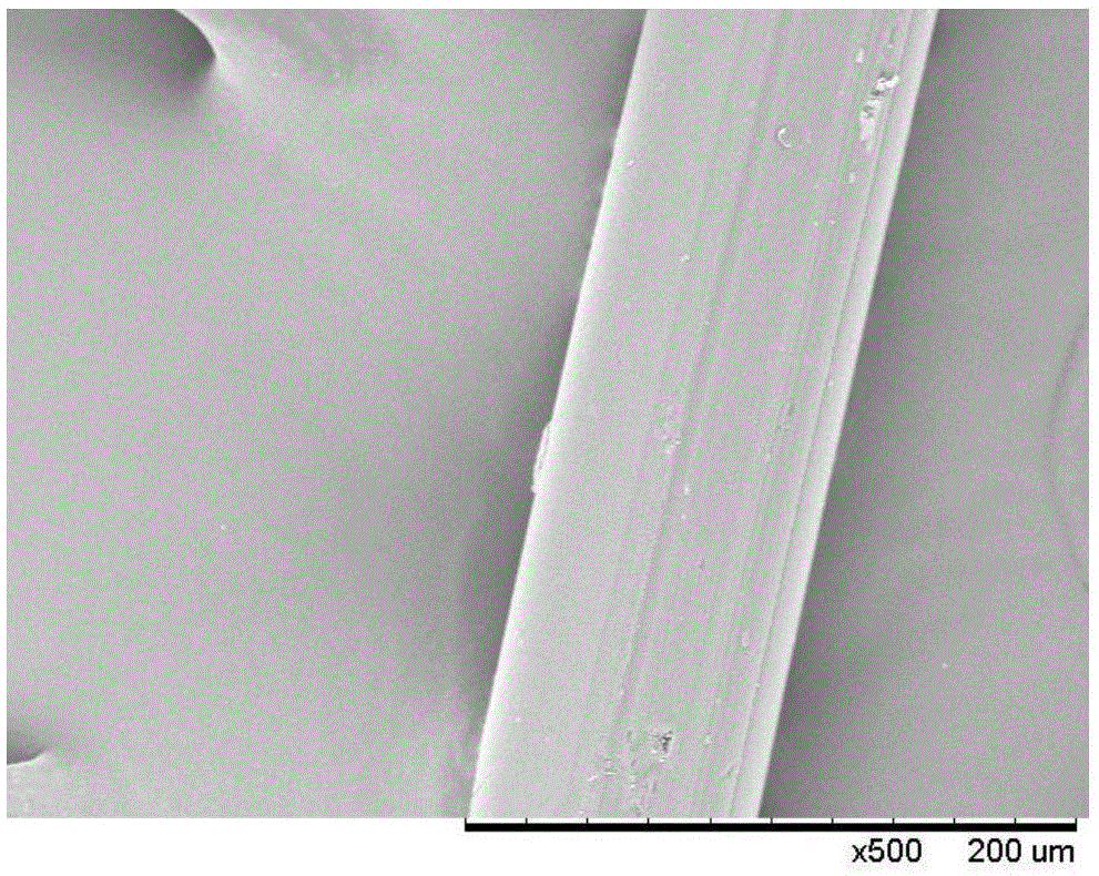 Method for preparing curcumin-loaded polyacrylonitrile fiber by dope dyeing method