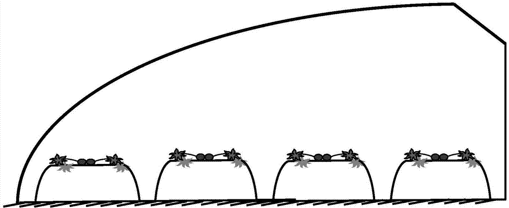 High ridge for planting strawberries and planting method