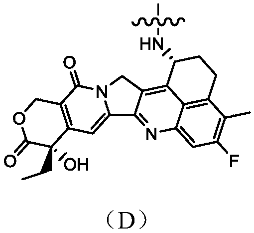 Camptothecin-antibody conjugate