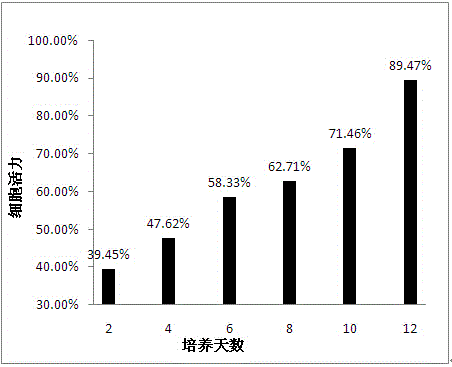 CAR-T cell preparation for treating breast cancer and preparation method thereof