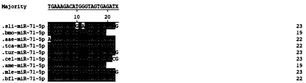 Application of miR-71-5p in pest control