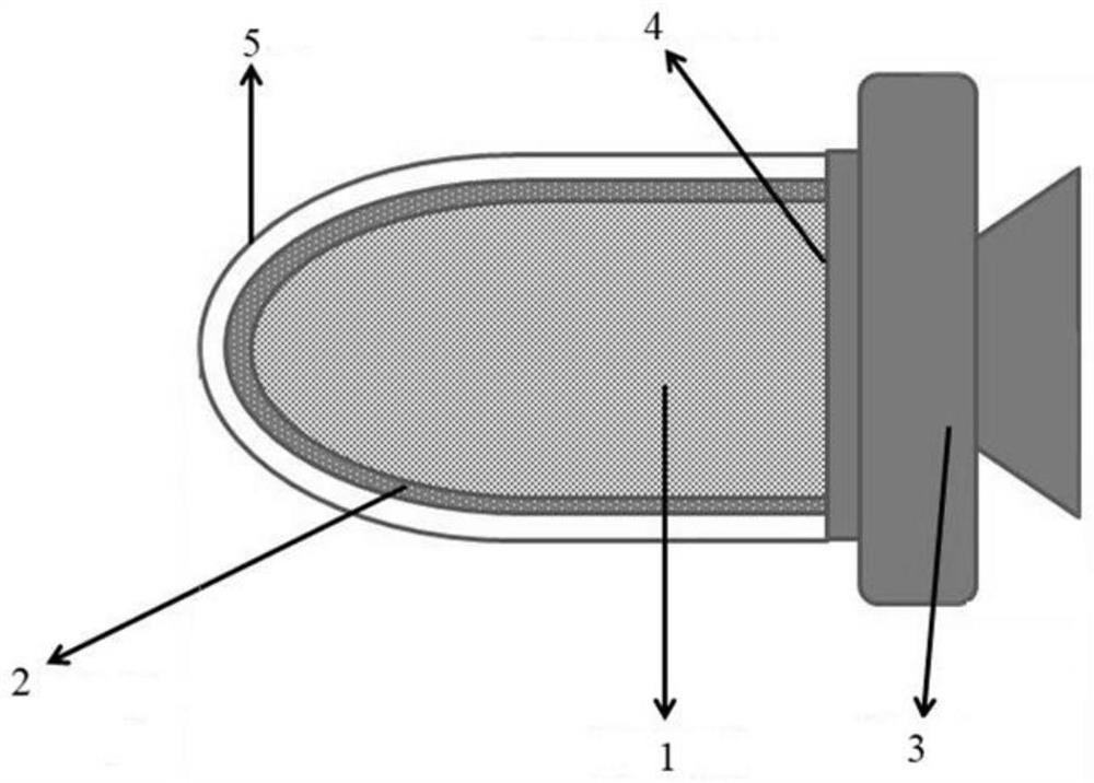 External auditory canal device for preventing and treating noise-induced hearing impairment and secondary vertigo