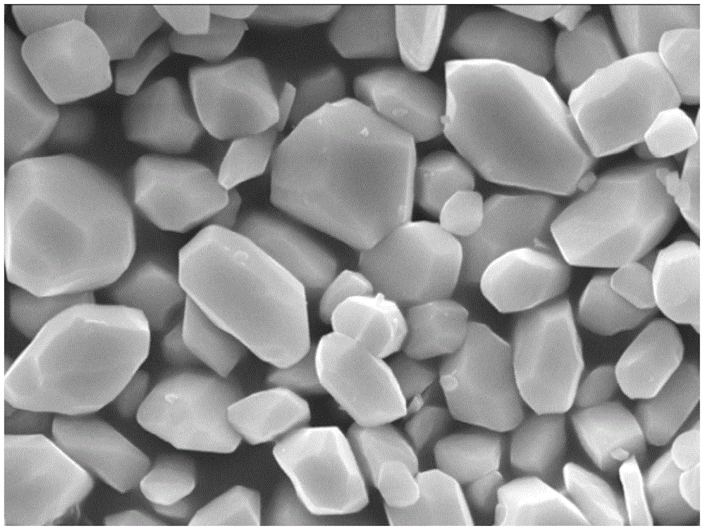 Coated silicate fluorescent powder and film-coating method thereof