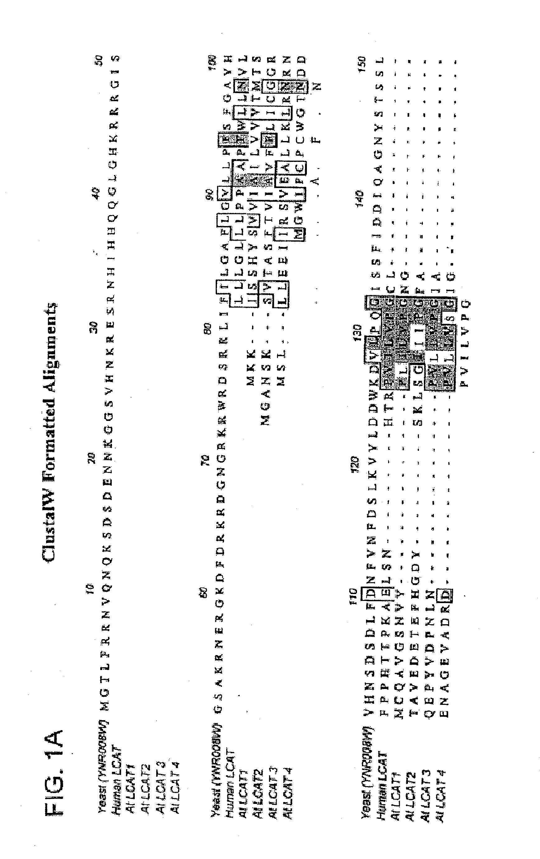 Plant sterol acyltransferases