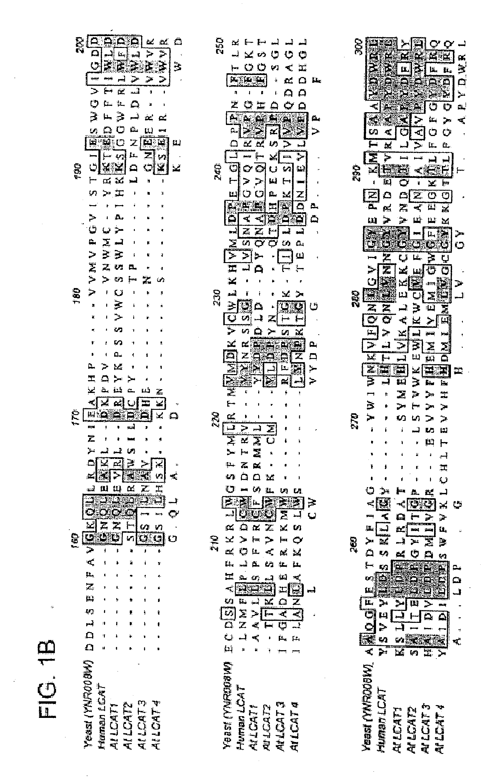 Plant sterol acyltransferases