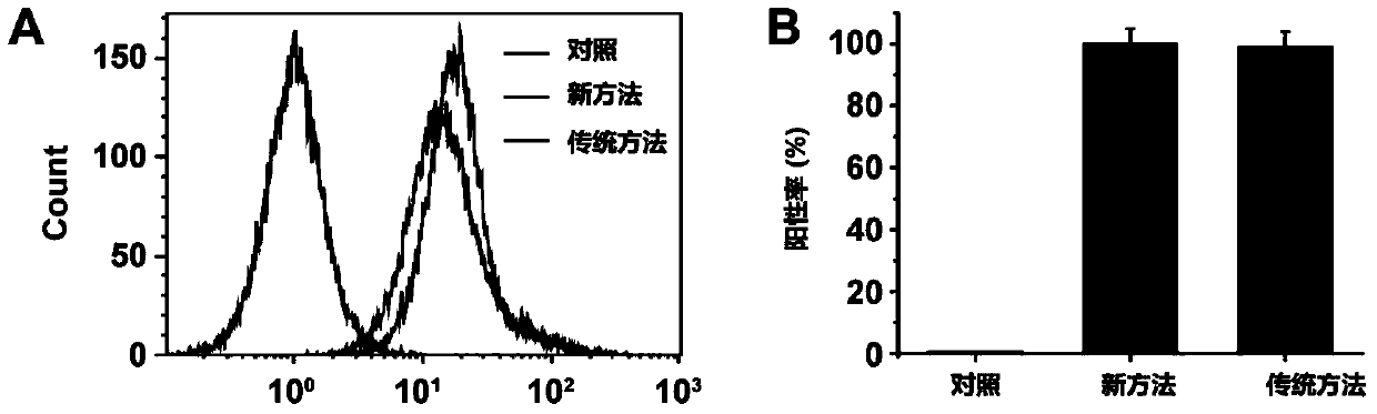 Preparation method of targeted microbubble ultrasound contrast agent modified by single-chain antibody