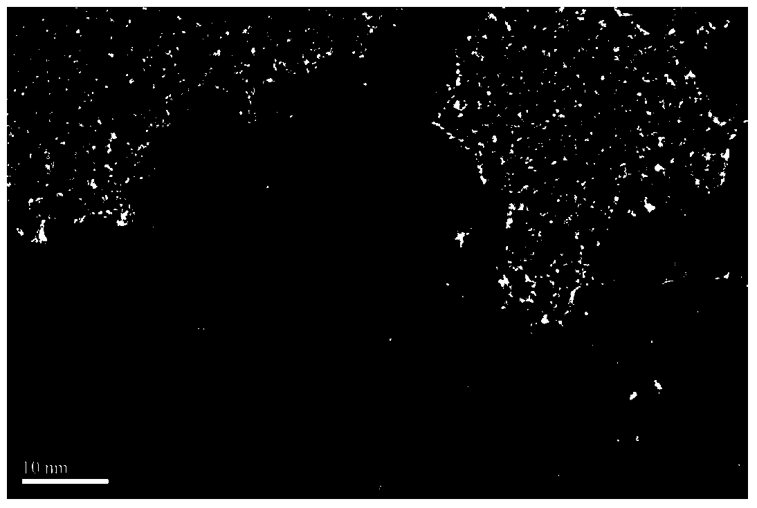 Metal catalyst and its preparation method and its application in the selective hydrogenation of benzene to cyclohexene