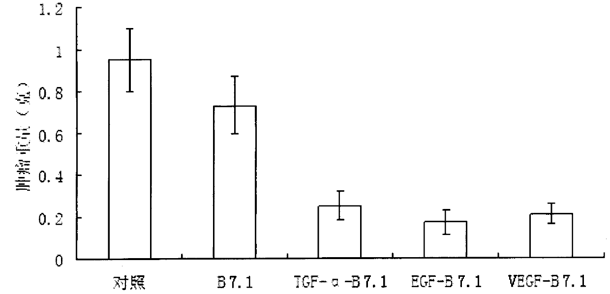 Fusion protein capable of inducing and activating cancer targeting T-cells as well as preparation method and application of the fusion protein