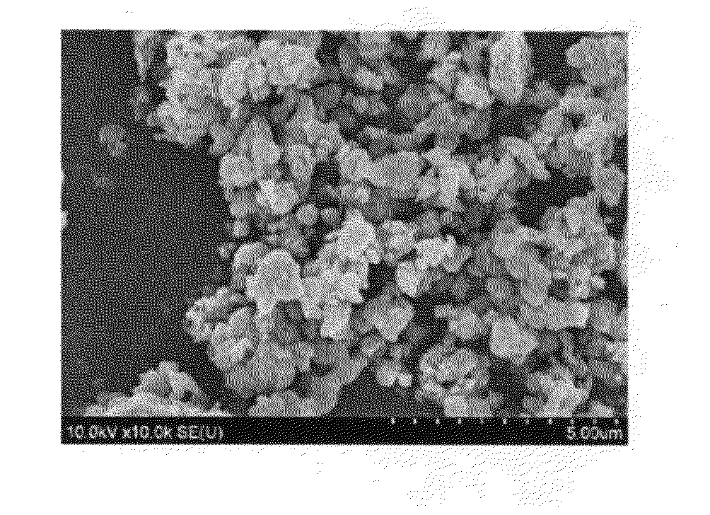 Anode active material for lithium secondary battery and method for preparing the same