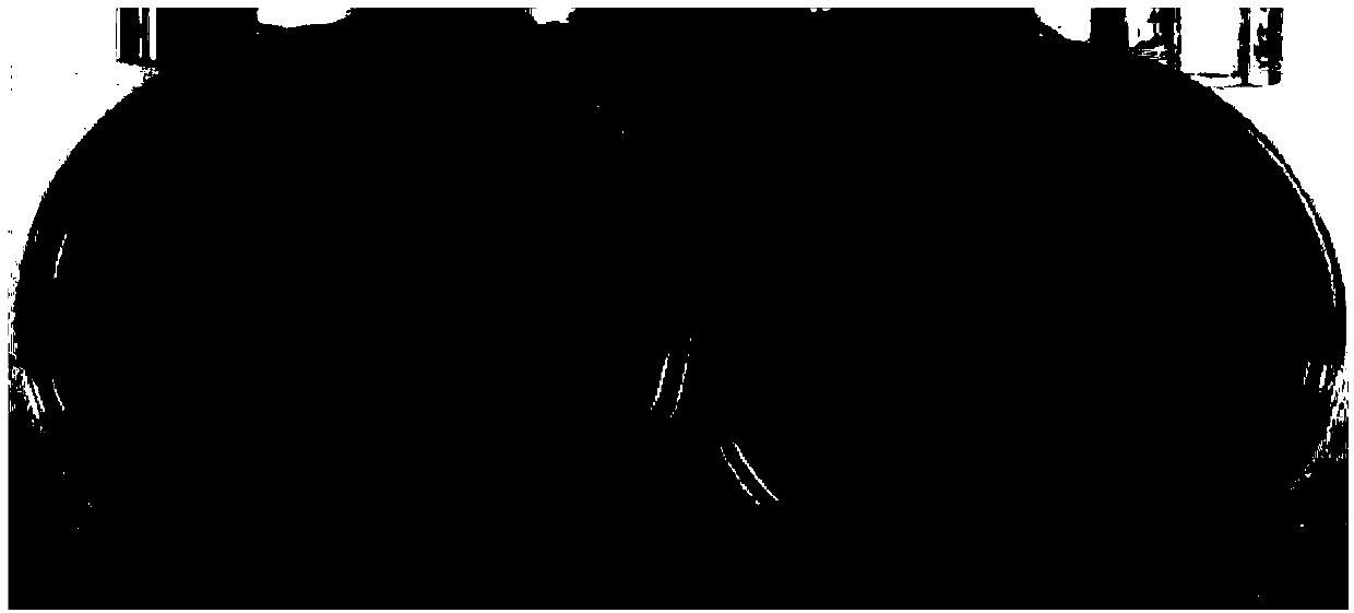 Recombinant streptomyces lydicus with cellulase activity and construction method and application thereof