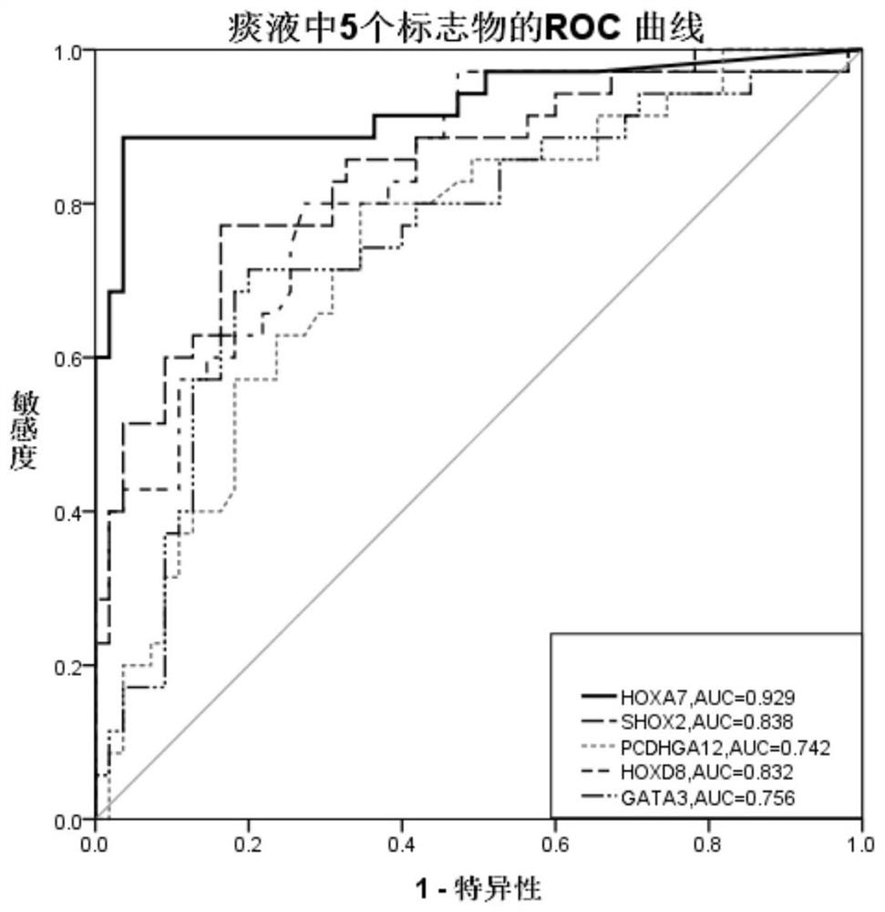 Application of hoxa7 methylation detection reagent in the preparation of lung cancer diagnostic reagent