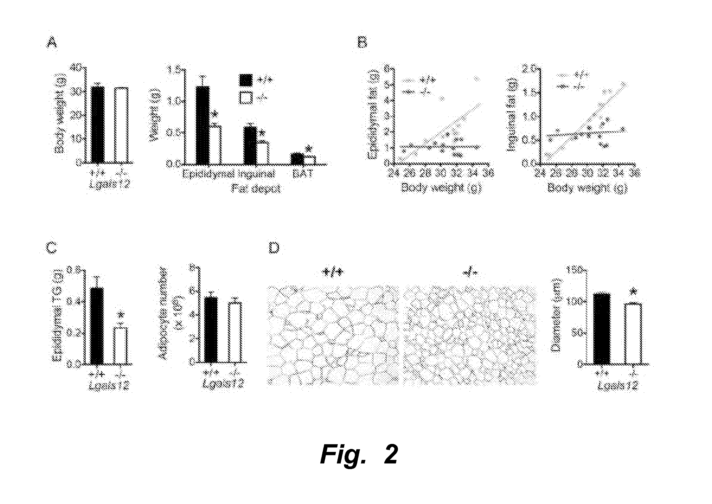 Mitigation of disease by inhibition of galectin-12