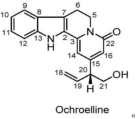 Preparation method of monoterpenoid indole alkaloid compound and application thereof