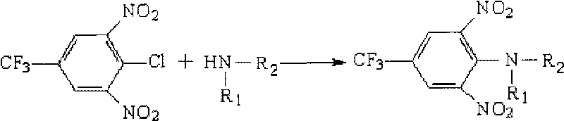 High-efficiency liquid phase chromatographic pre-column derivatization reagent for amino compound and detection method of amino compound