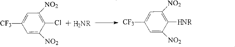 High-efficiency liquid phase chromatographic pre-column derivatization reagent for amino compound and detection method of amino compound