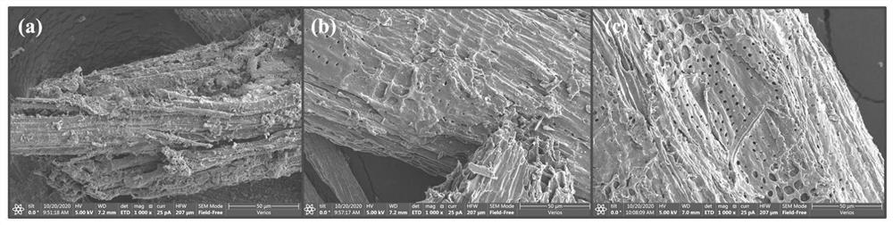 A preparation method of extremely rich microporous carbon material based on carboxylation anchoring effect