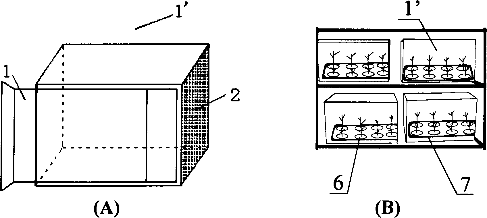 Artificial propagation method of minute pirate bugs