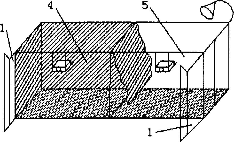 Artificial propagation method of minute pirate bugs