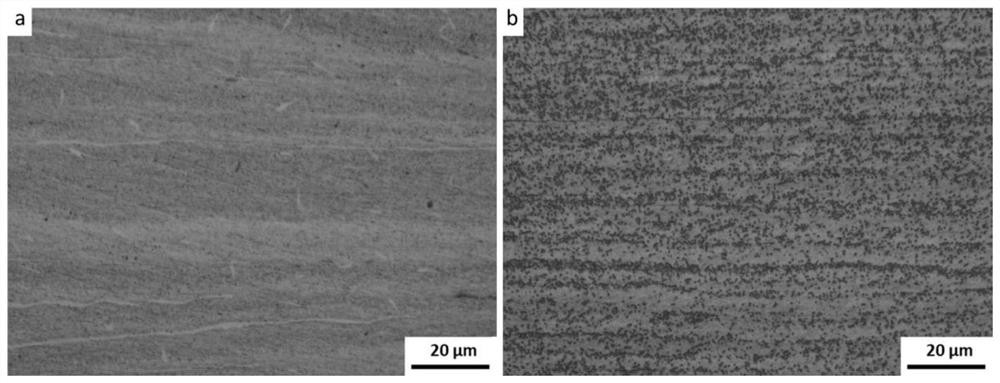 Method for preparing high-strength and high-plasticity 316L stainless steel through large-strain warm rolling