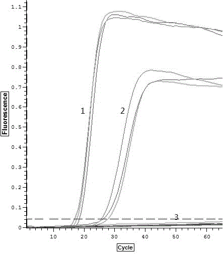 Reagent for legionella pneumophila detection according to in-vitro nested loop-mediated isothermal amplification method and legionella pneumophila detection method