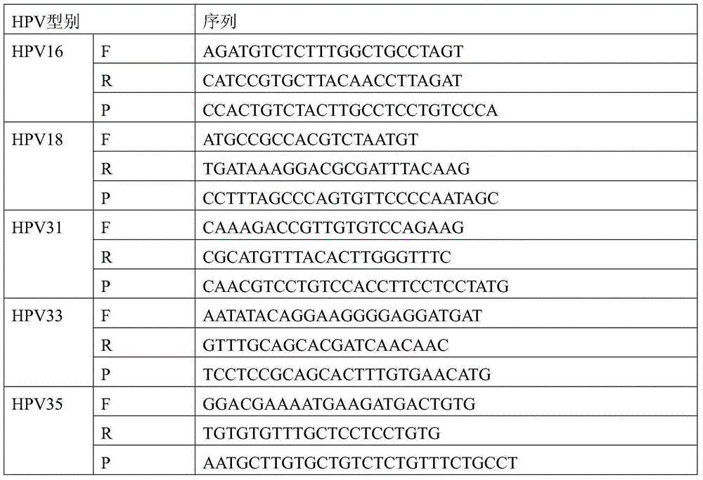 Kit for fluorescent PCR (Polymerase Chain Reaction) detection of high-risk HPV (Human Papilloma Virus)