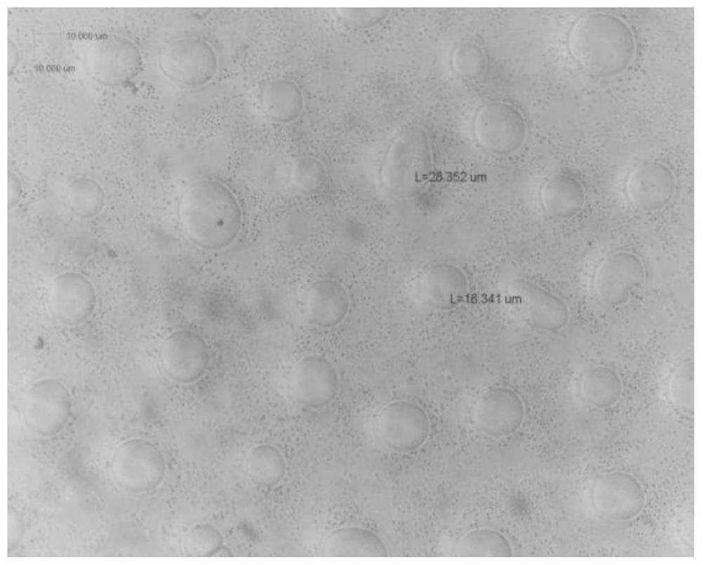 A high transparency and high fog anti-glare coating