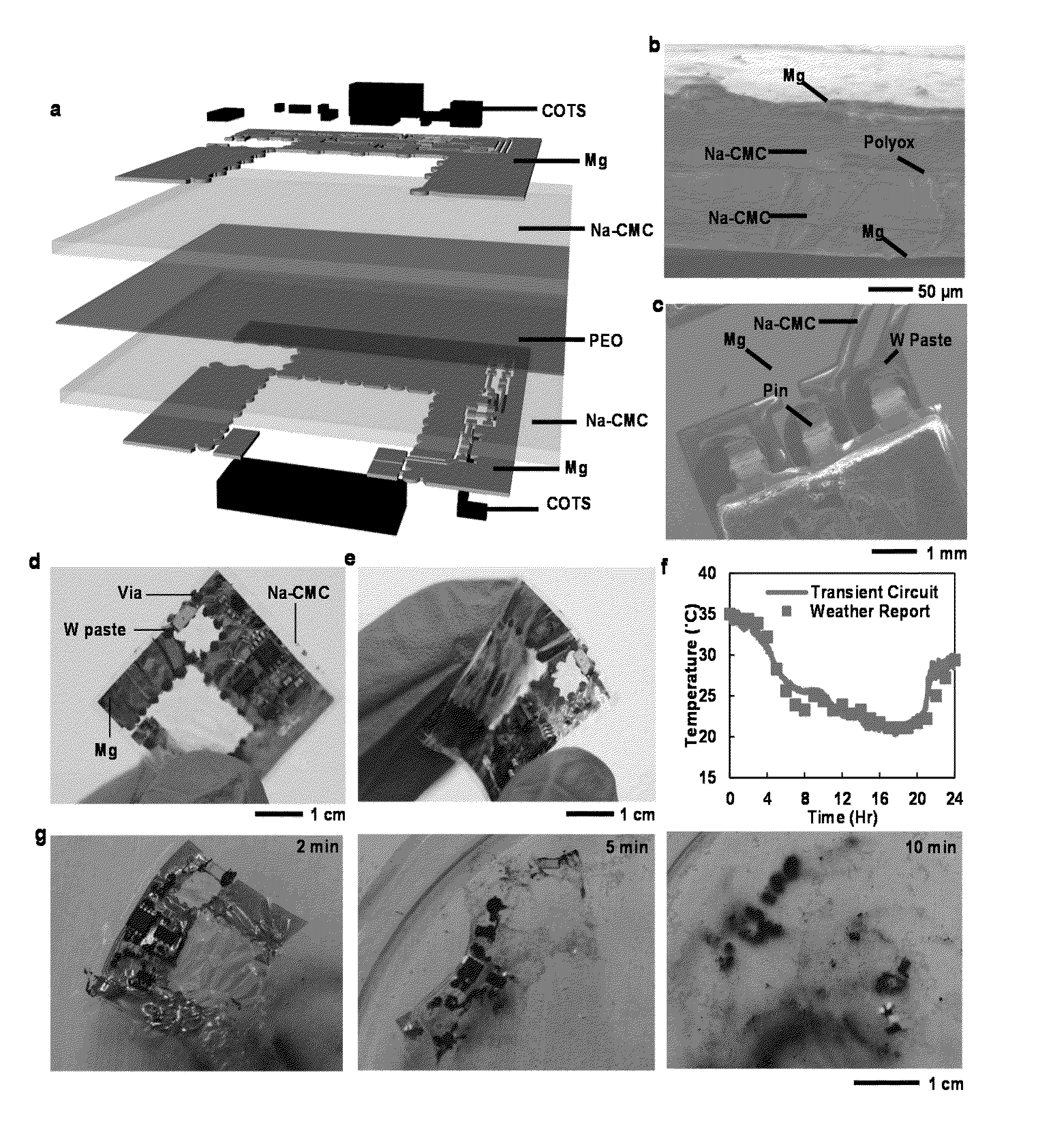 Biodegradable materials for multilayer transient printed circuit boards