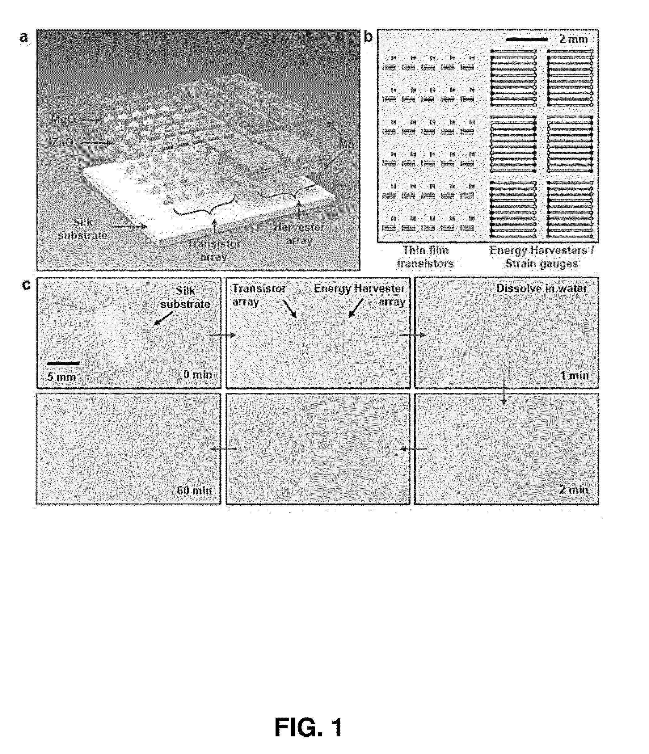 Biodegradable materials for multilayer transient printed circuit boards