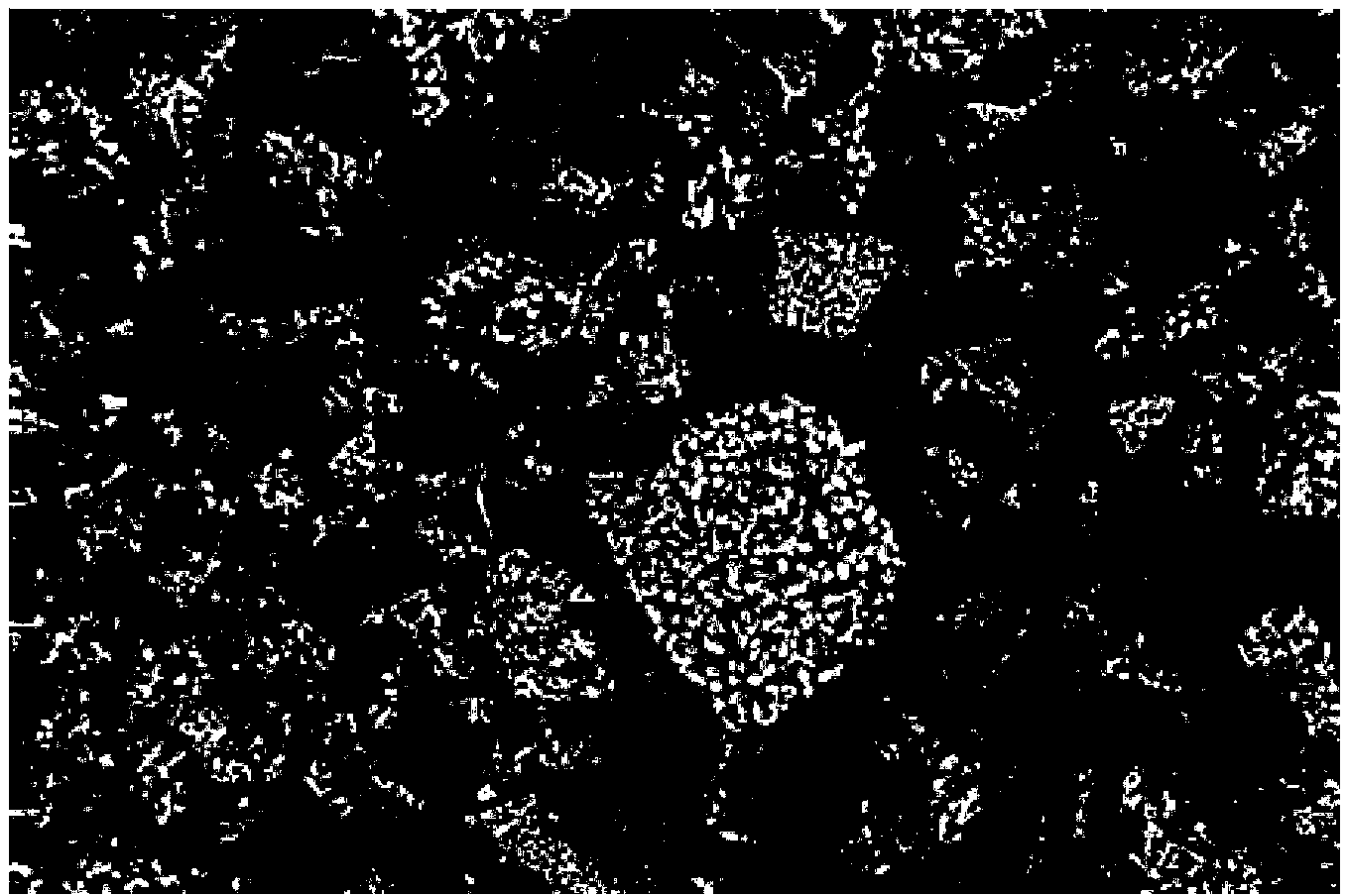 Metal hydride stability treatment method